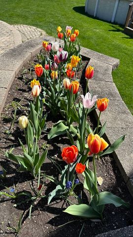 1948 Barrington Court, Aurora, IL 60503