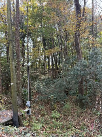 0 Yellow House Lot 2 Place, Charleston, SC 29492
