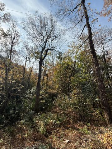0 Yellow House Lot 2 Place, Charleston, SC 29492
