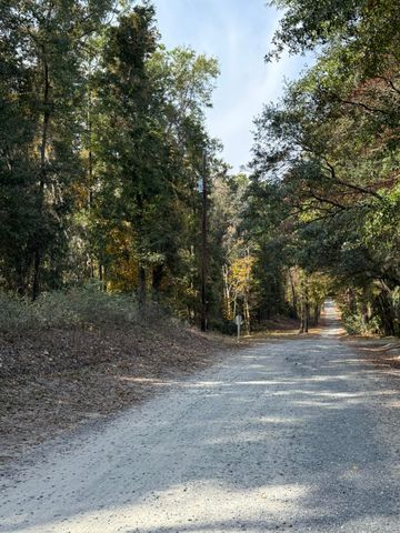 0 Yellow House Lot 2 Place, Charleston, SC 29492