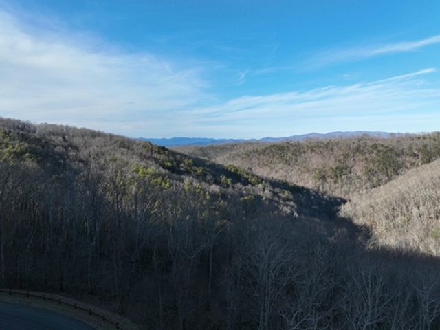 249 Andes Ridge, Ellijay, GA 30536