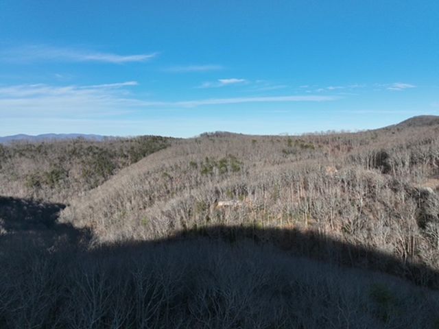 249 Andes Ridge, Ellijay, GA 30536