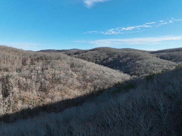 249 Andes Ridge, Ellijay, GA 30536