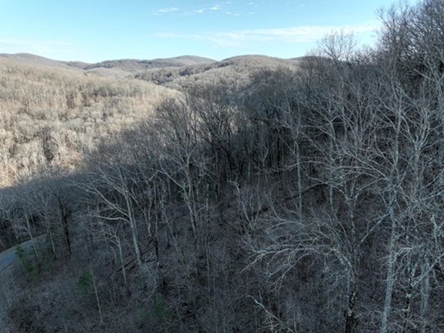 249 Andes Ridge, Ellijay, GA 30536