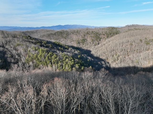 249 Andes Ridge, Ellijay, GA 30536