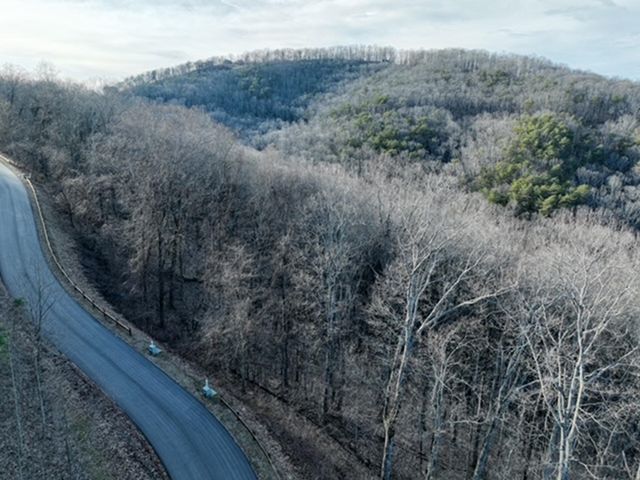 249 Andes Ridge, Ellijay, GA 30536