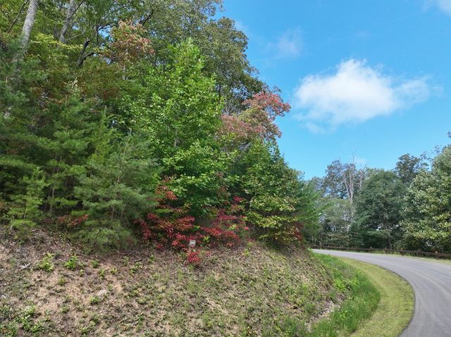 249 Andes Ridge, Ellijay, GA 30536