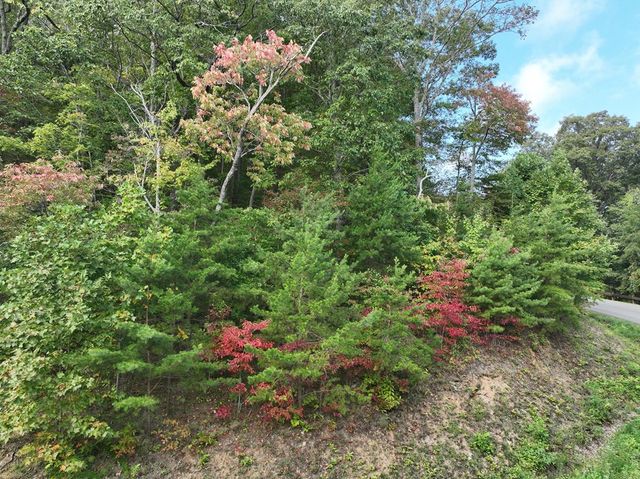 249 Andes Ridge, Ellijay, GA 30536