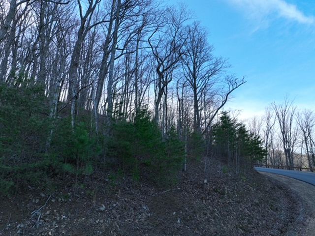 249 Andes Ridge, Ellijay, GA 30536