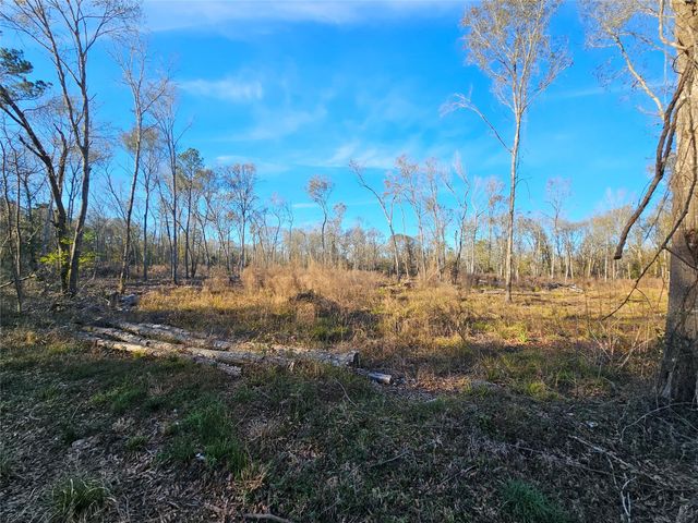 Lot 2 Sherwood Drive, Shepherd, TX 77371