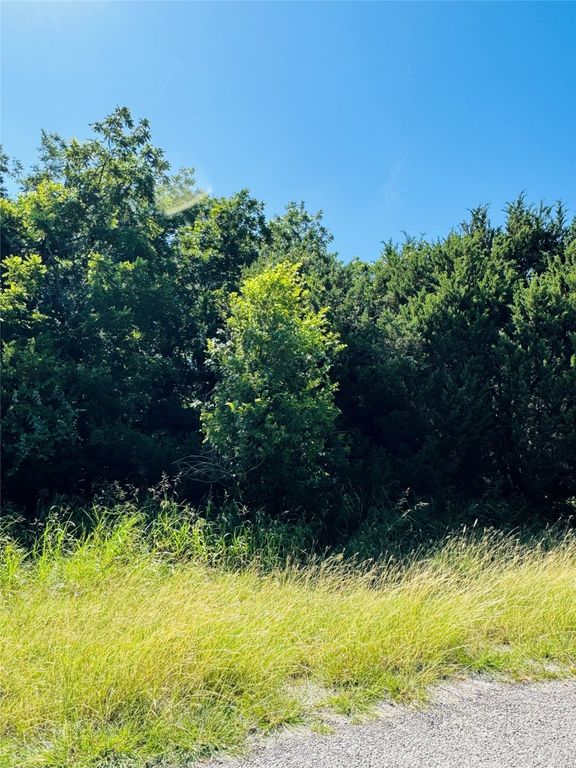 34051 Stonewood Loop, Whitney, TX 76692