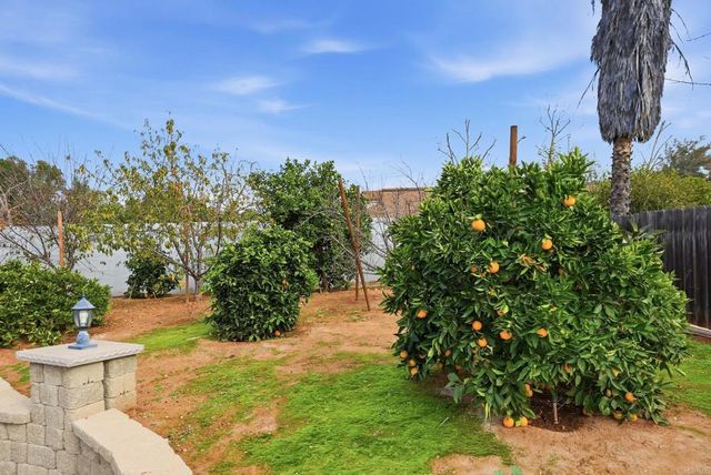 1668 1672 Spanish Oak Pl, El Cajon, CA 92019