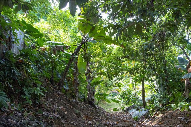 175-176 CALLE RUISEÑOR, San Juan, PR 00926