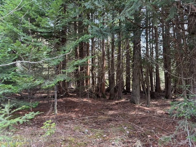 NNA Wrenco Loop, Blk 2 Lot 1, Sandpoint, ID 83864