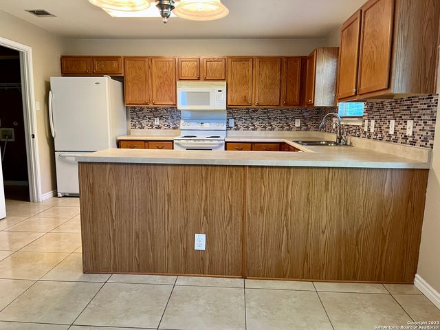 10523 TIGER PAW, San Antonio, TX 78251