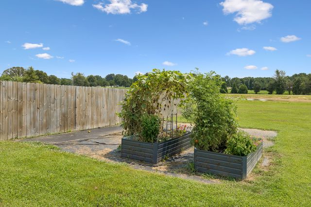 253 Old Baptist Rd, Ardmore, TN 38449