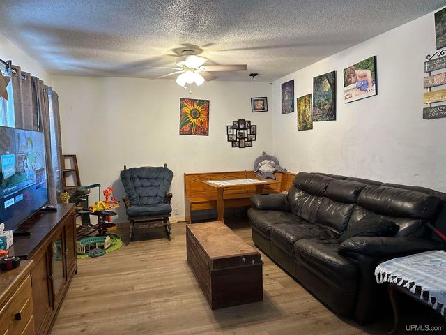 105 N Beecher Street, Bessemer, MI 49911