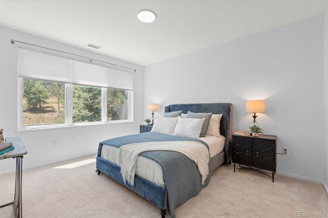 31192 Black Eagle Drive 201, Evergreen, CO 80439