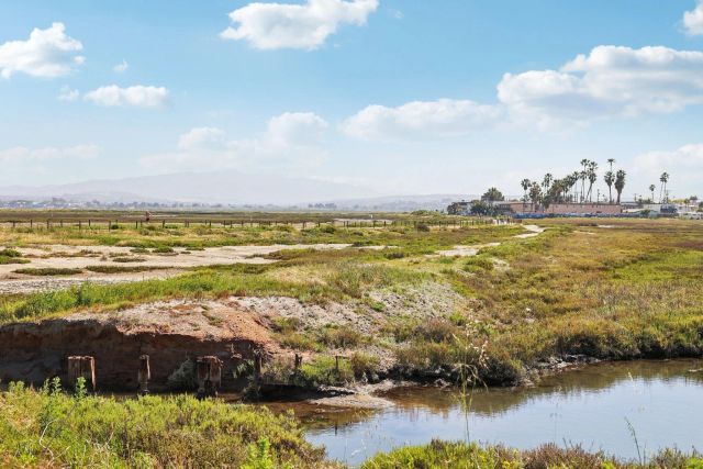 502 Surfbird Ln, Imperial Beach, CA 91932