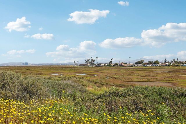 502 Surfbird Ln, Imperial Beach, CA 91932