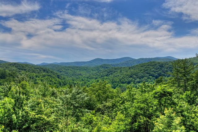 277 Hickory Nut Trail, Blue Ridge, GA 30513