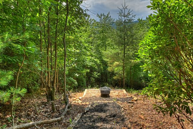 277 Hickory Nut Trail, Blue Ridge, GA 30513