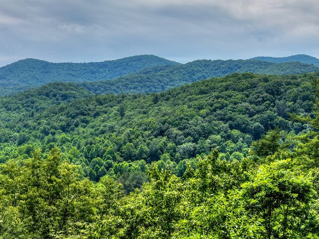 277 Hickory Nut Trail, Blue Ridge, GA 30513