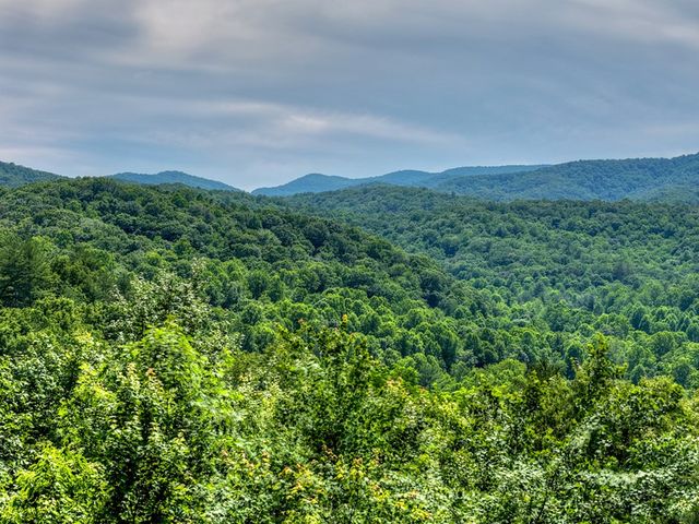 277 Hickory Nut Trail, Blue Ridge, GA 30513