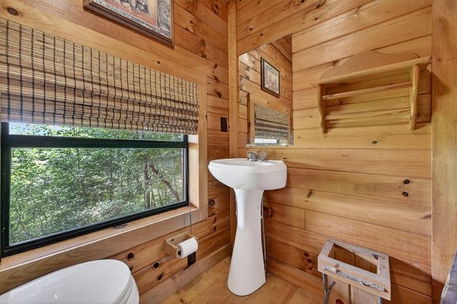 277 Hickory Nut Trail, Blue Ridge, GA 30513