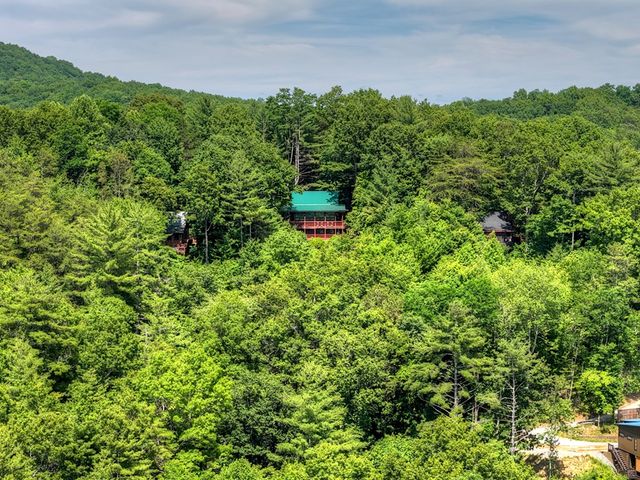 277 Hickory Nut Trail, Blue Ridge, GA 30513