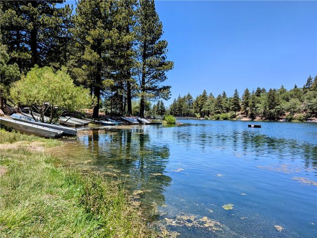 33459 Wild Cherry, Green Valley Lake, CA 92341