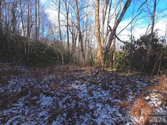 10 Tall Oaks Drive 58A & 58B, Maggie Valley, NC 28751