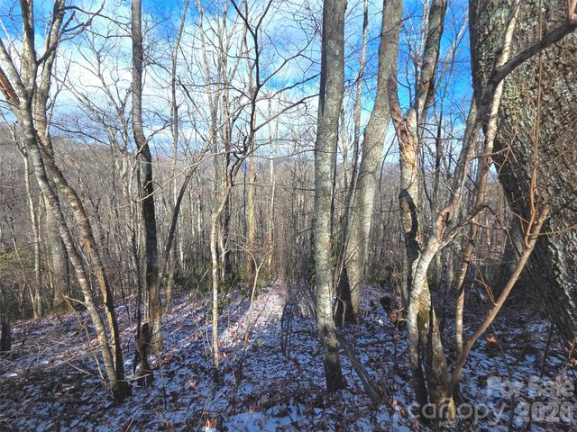 10 Tall Oaks Drive 58A & 58B, Maggie Valley, NC 28751