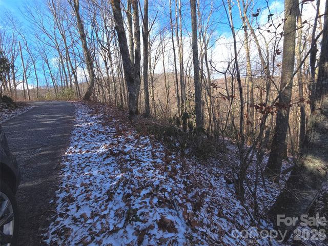 10 Tall Oaks Drive 58A & 58B, Maggie Valley, NC 28751