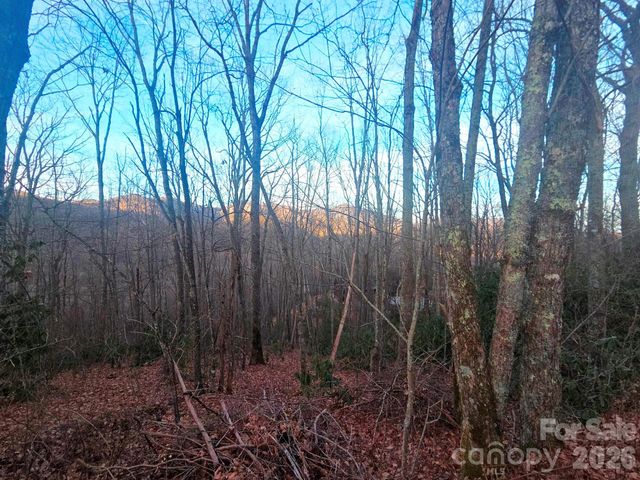 10 Tall Oaks Drive 58A & 58B, Maggie Valley, NC 28751