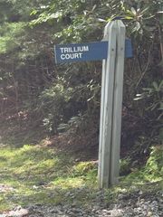 000 Trillium Court 37, Sapphire, NC 28774