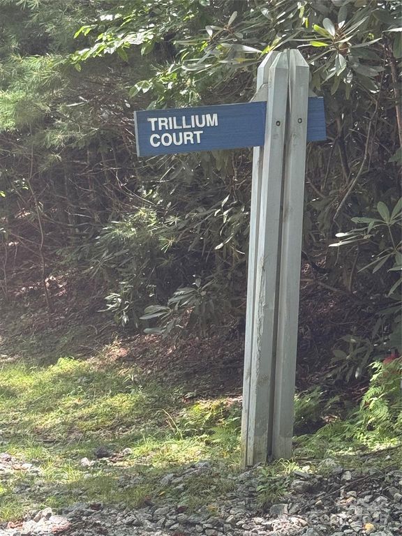 000 Trillium Court 37, Sapphire, NC 28774