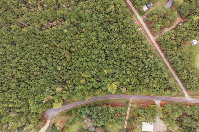 7273 Moontown Road, Appling, GA 30802