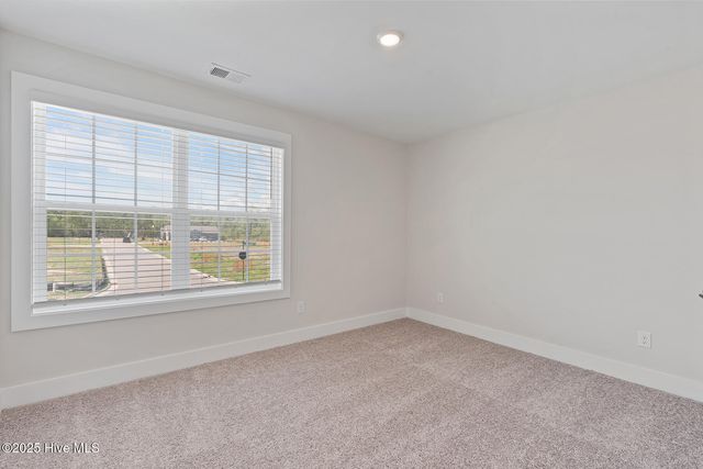123 Umbrella Palm Drive, Hampstead, NC 28443