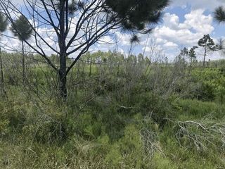 0 Xeriscape Nursery Road, Frostproof, FL 33843