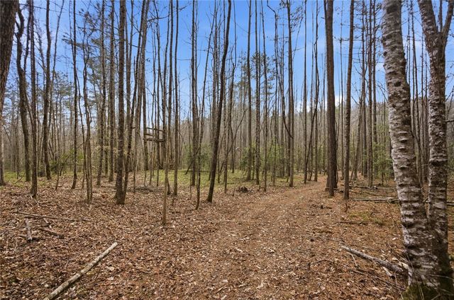 196 Flyroot Trail, Pickens, SC 29671