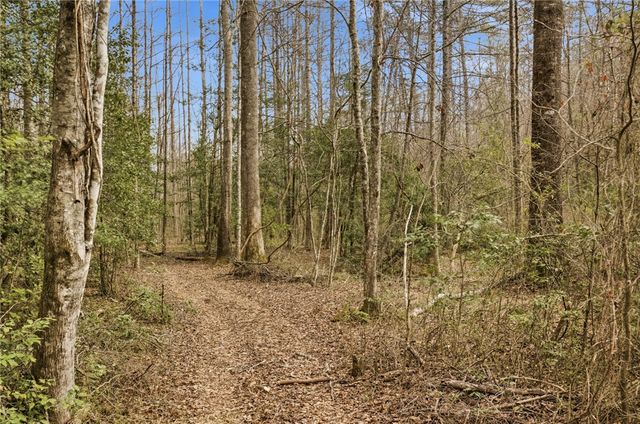 196 Flyroot Trail, Pickens, SC 29671