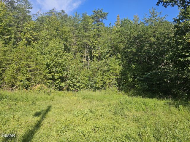 3 Franklin Way, Sevierville, TN 37862