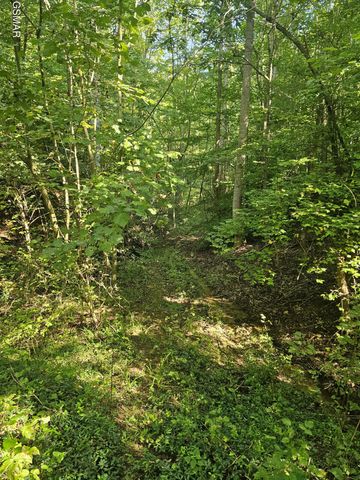 3 Franklin Way, Sevierville, TN 37862