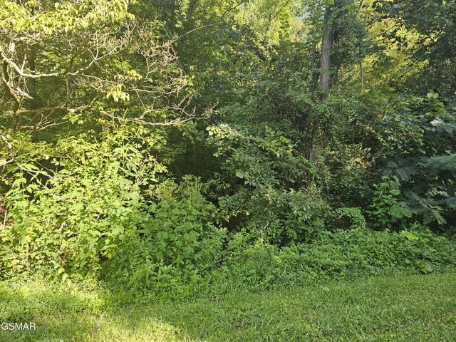 3 Franklin Way, Sevierville, TN 37862