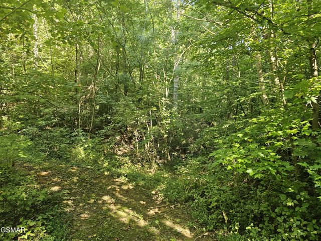 3 Franklin Way, Sevierville, TN 37862