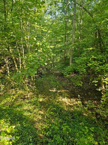 3 Franklin Way, Sevierville, TN 37862