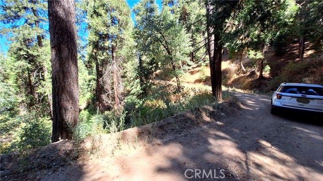 0 El Valle, Cedarpines Park, CA 92322