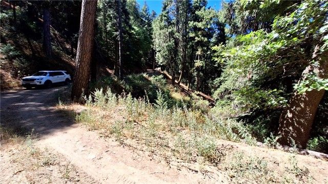 0 El Valle, Cedarpines Park, CA 92322