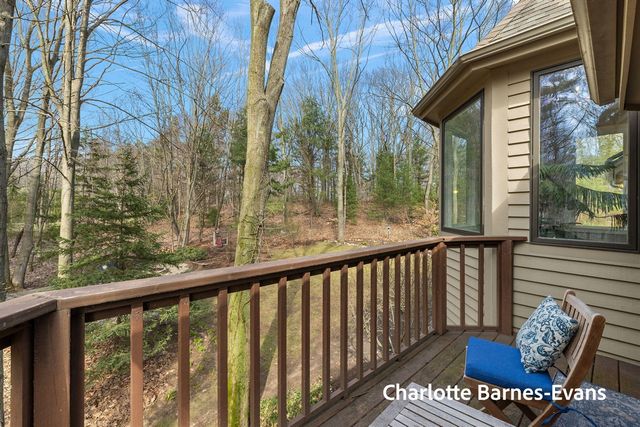 17141 Whitney Ridge, West Olive, MI 49460